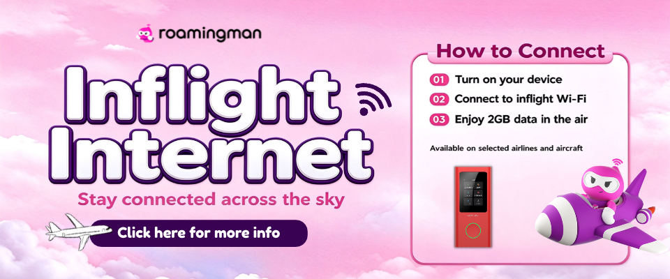 Inflight Internet